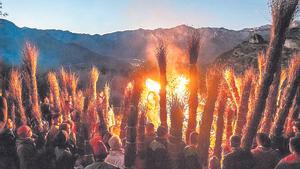 Les faies de Nadal al nord del Berguedà