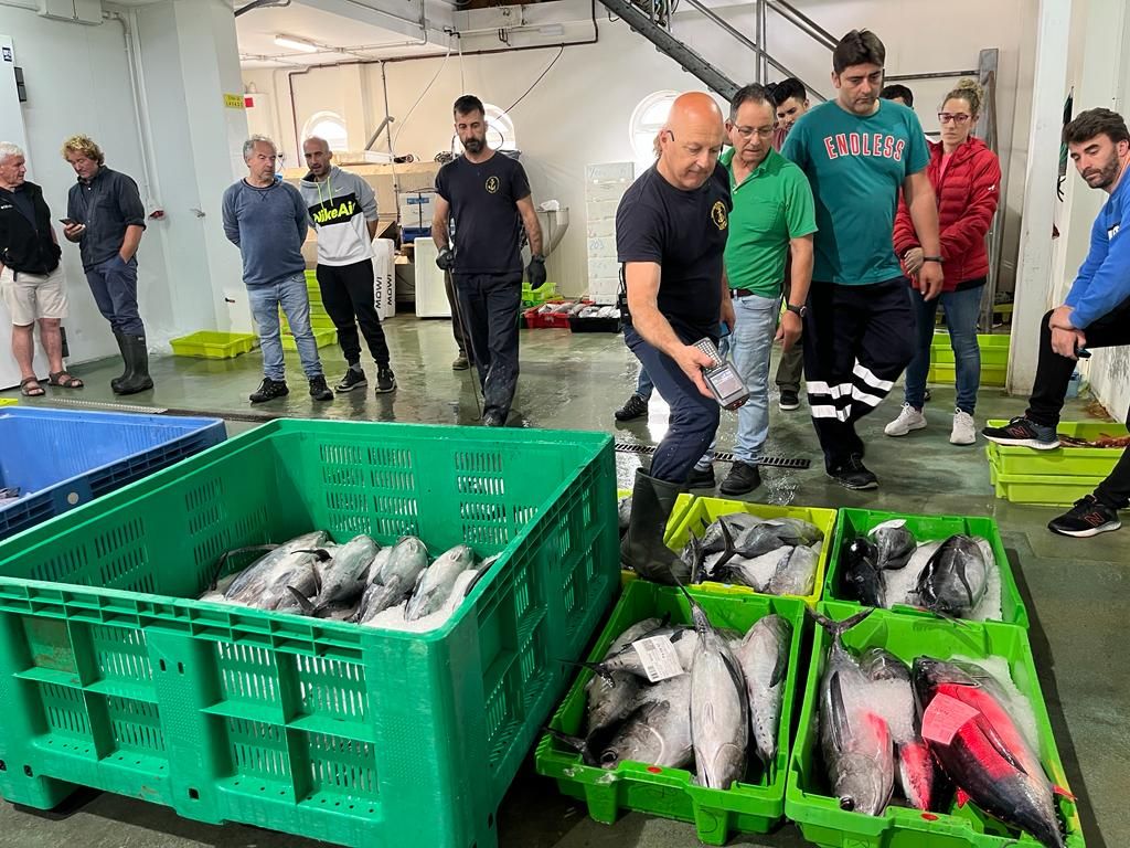 Casa Poli, de Puertas de Vidiago, se lleva el primer bonito de la costera de Llanes, a catorce euros el kilo