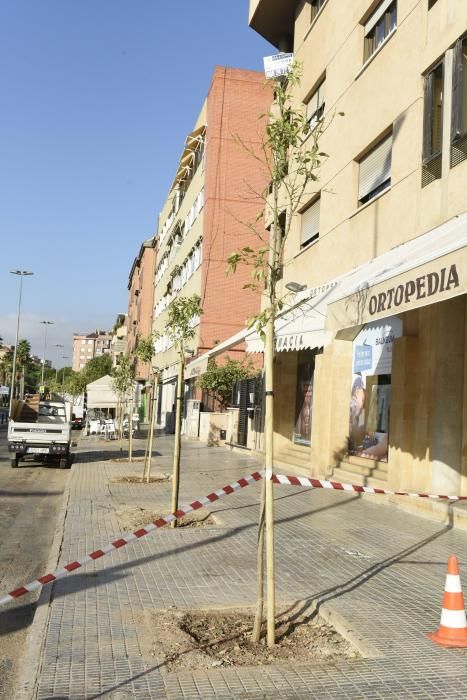 Tala de árboles en la zona del Zig Zag