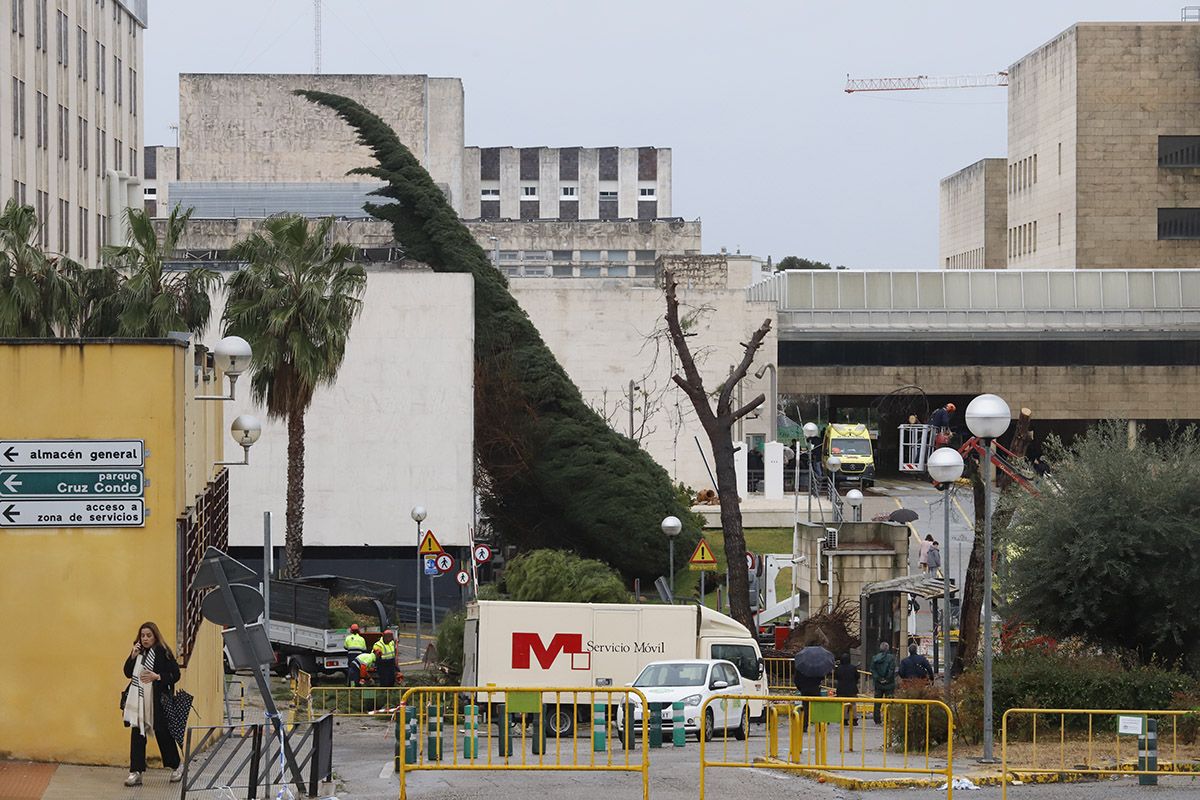 Un tornado deja un reguero de incidencias en el entorno del hospital Reina Sofía