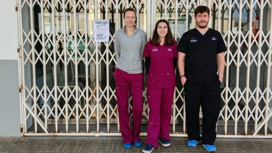 Seguimiento masivo a la protesta de los veterinarios de Mallorca