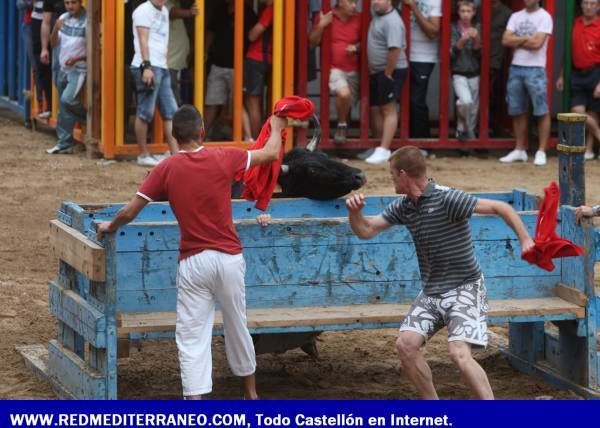 PRIMERA JORNADA DEL CONCURSO DE GANADERÍAS. LA VILAVELLA 2009.