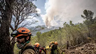 Directo | Otros tres incendios en Catalunya se suman al de Paüls, con más de 3.100 hectáreas arrasadas