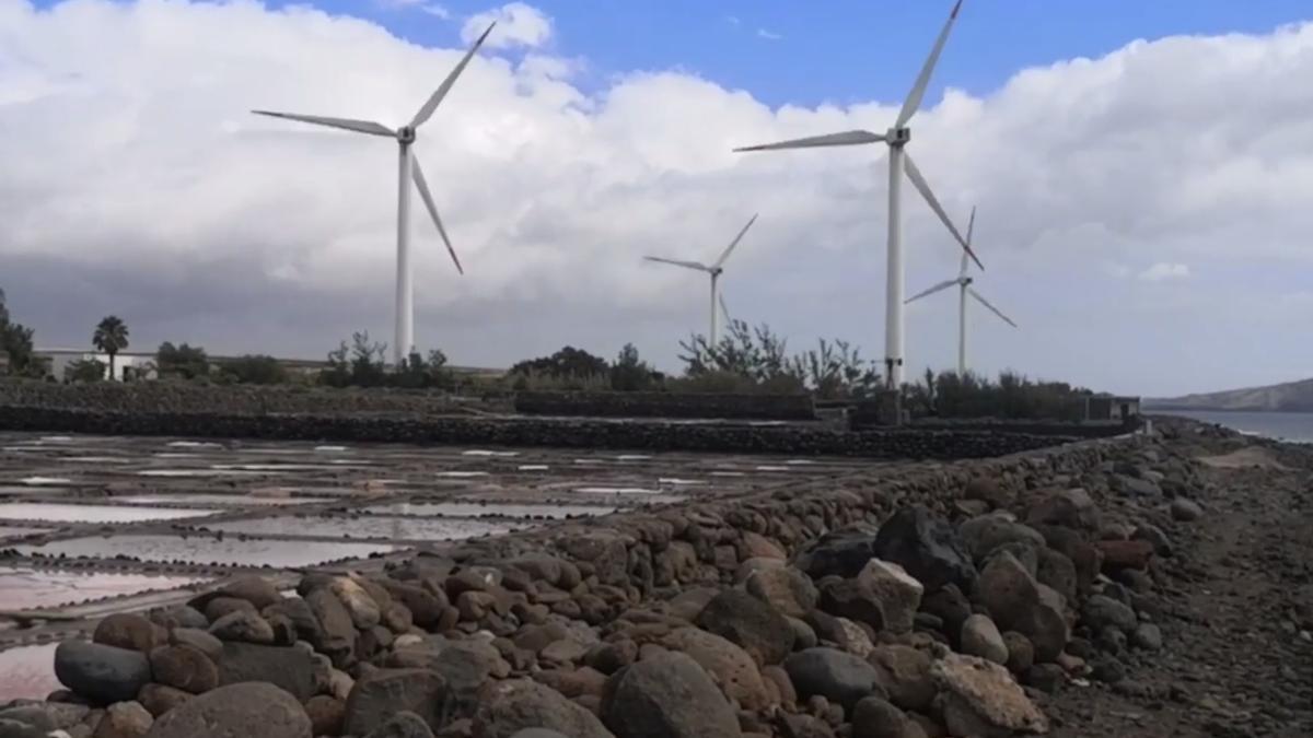 Un paseo por las Salinas de Bocacangrejo