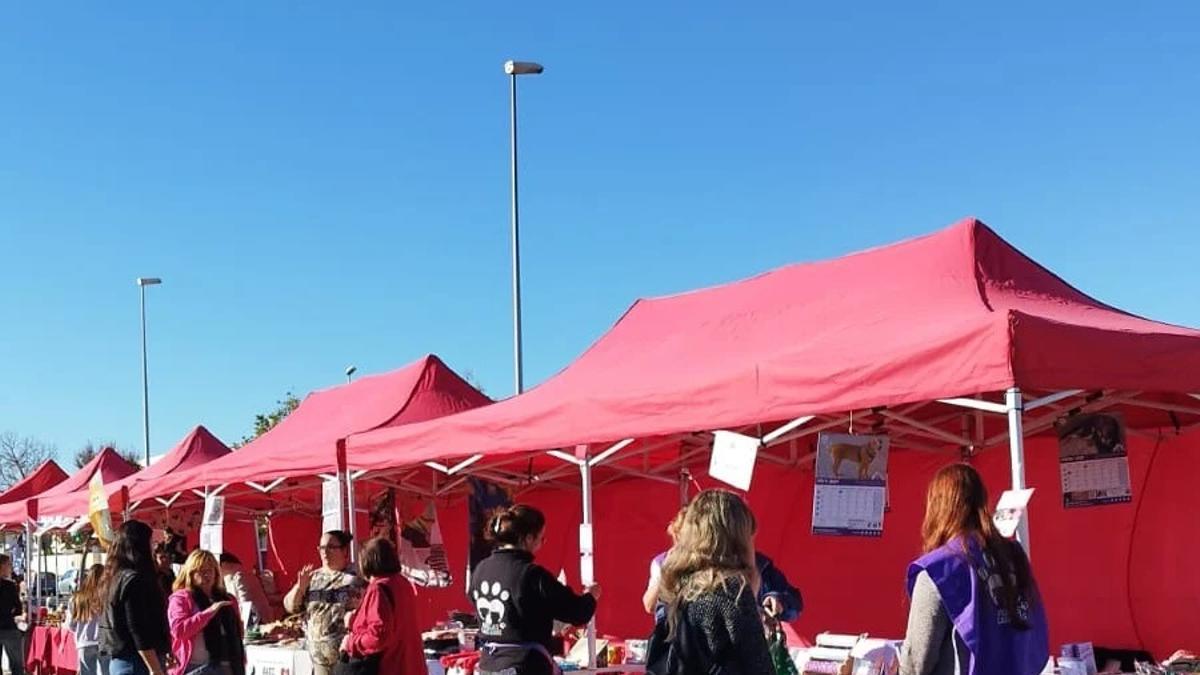 Imatge de la fira d'adopció responsable del 2023.