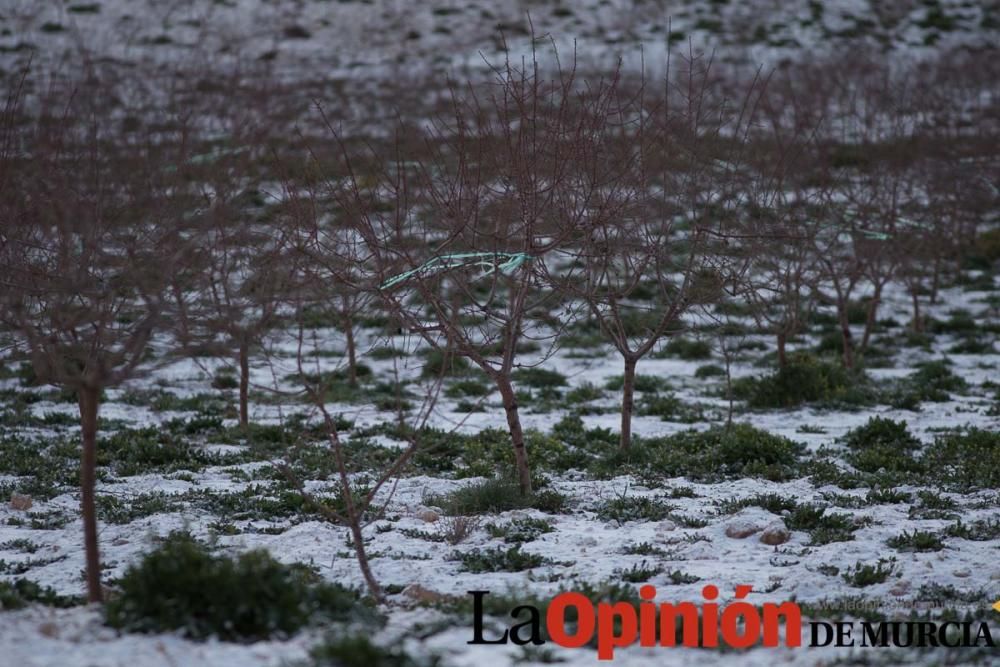 Nieva en Inazares