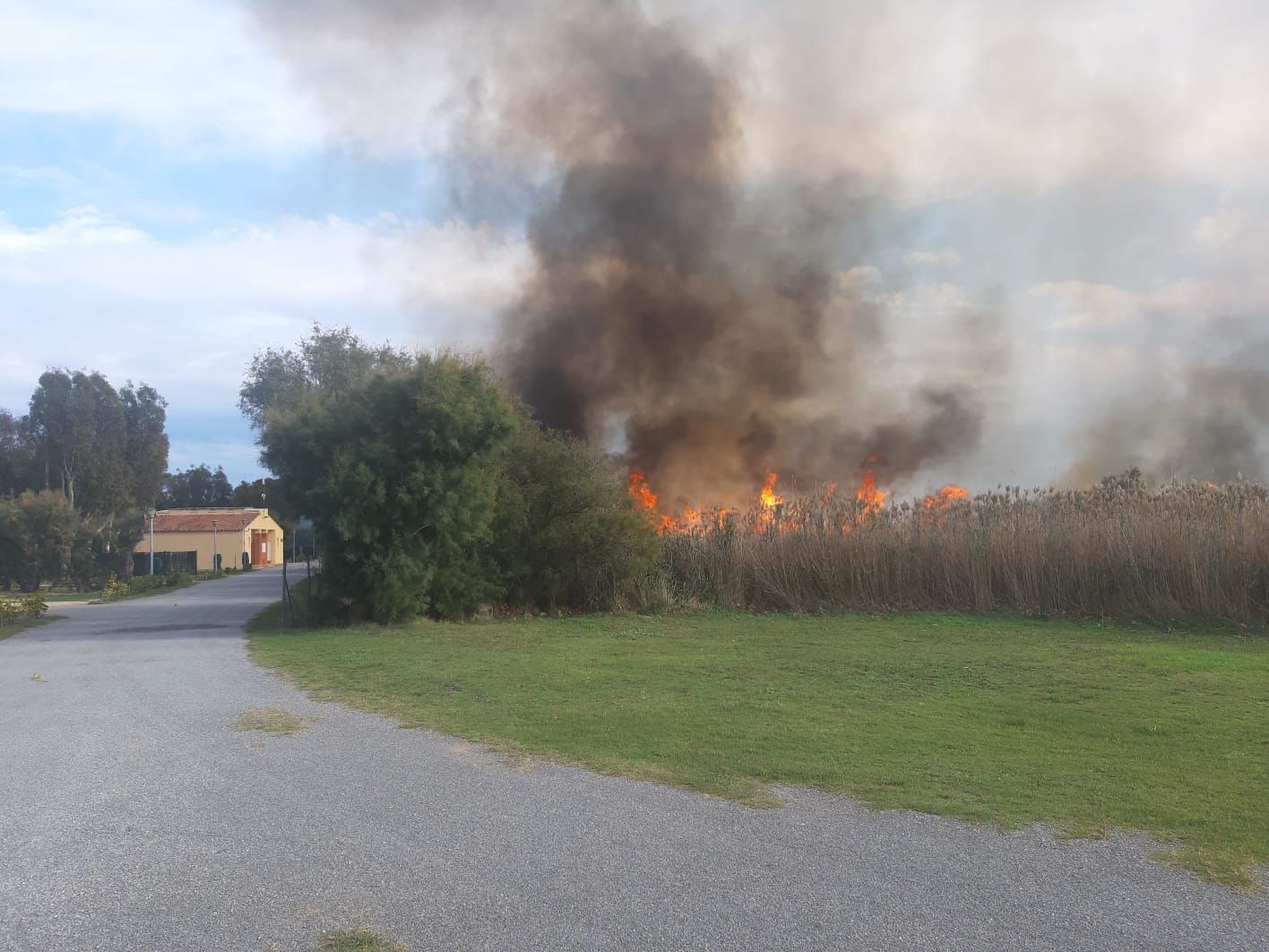 Incendi de matolls a l'Estartit