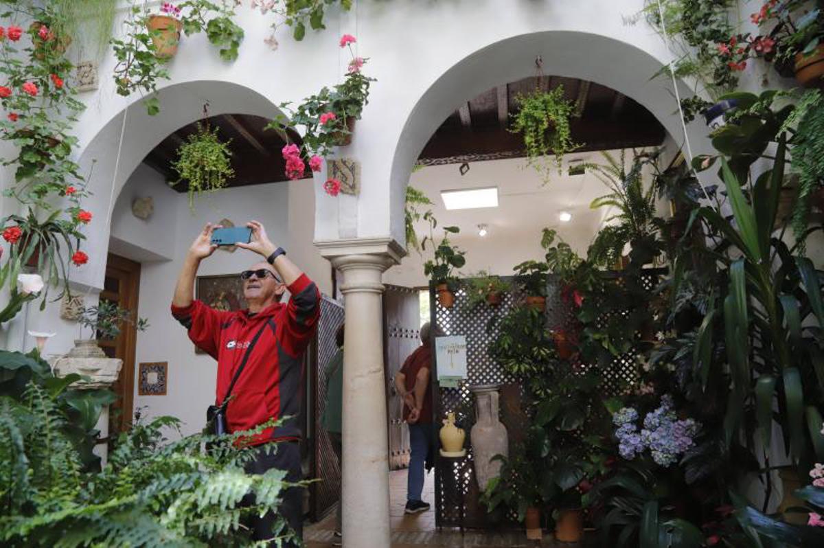 Principales premios del Concurso Municipal de Patios Cordobeses 2026