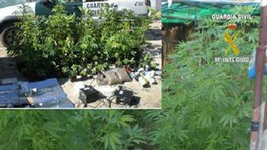 22 detenidos por vender marihuana en siete municipios de La Vera