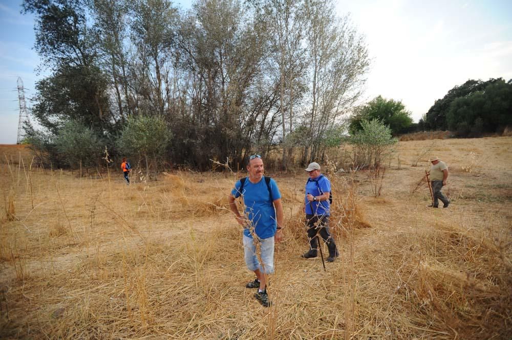 Búsqueda del desaparecido en la barriada de Alcolea