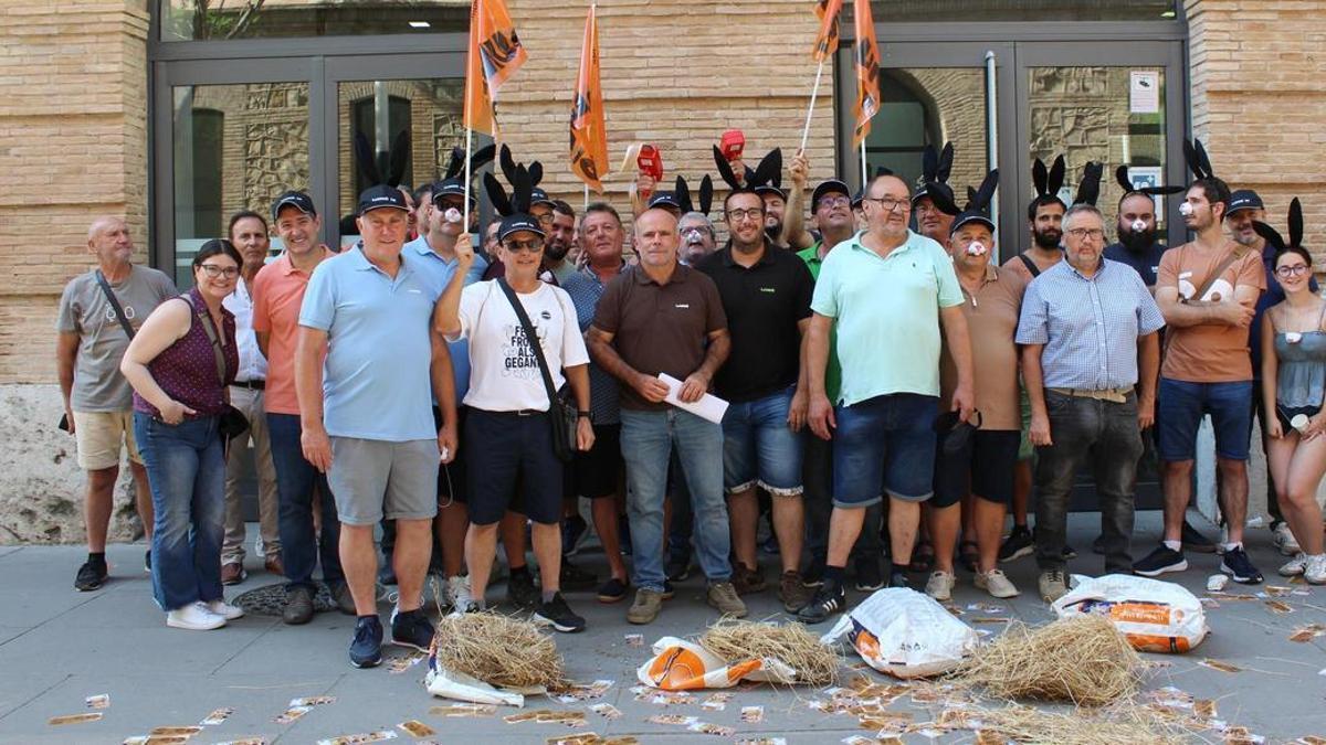 La plaga de jabalíes y conejos desborda al campo y deja ya 55 millones en daños al año en la Comunitat