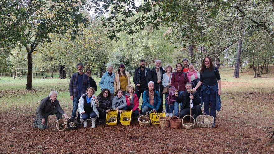 Los aficionados a las setas convierten La Arena en un escaparate micológico