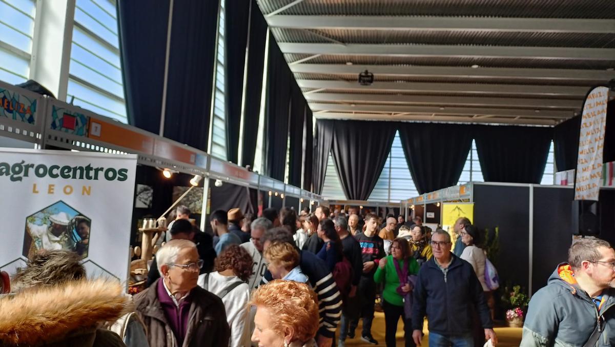 La VII Feria Apícola Internacional de Zamora (Meliza).
