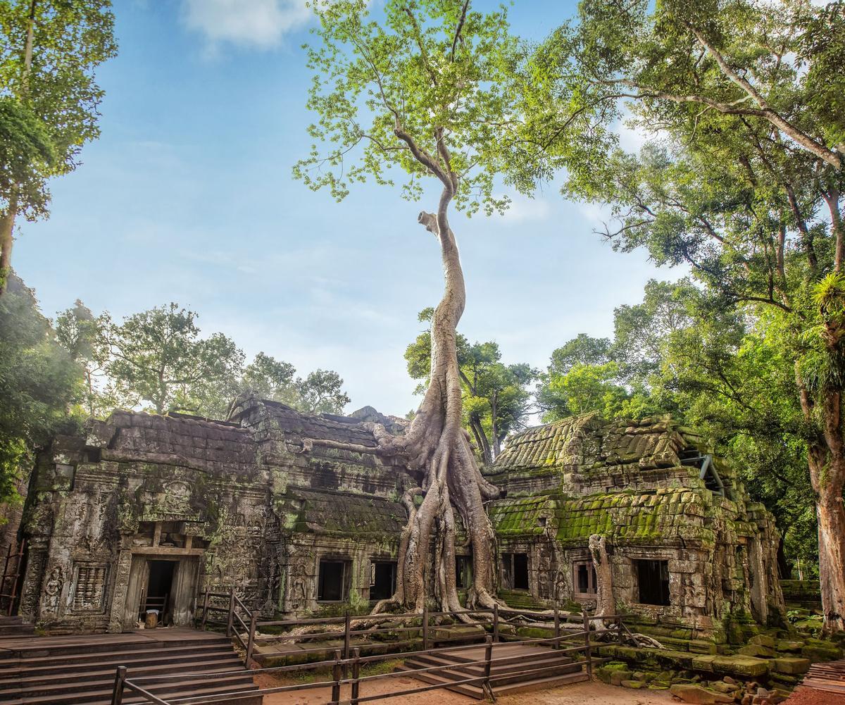 Angkor, Camboya