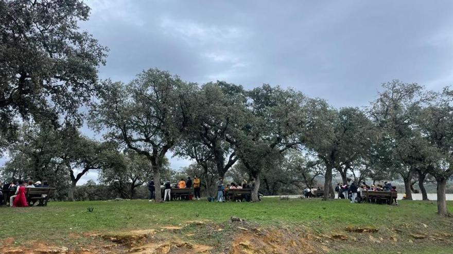 Trescientos escolares de Málaga aprenderán sobre la cría del toro bravo y el caballo Pura Raza Español