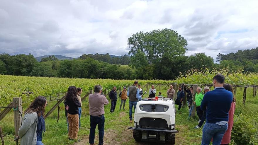 El robot sulfatador autónomo fabricado en China ya se mueve entre las cepas de albariño gallegas