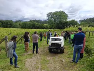 El robot sulfatador autónomo fabricado en China ya se mueve entre las cepas de albariño gallegas