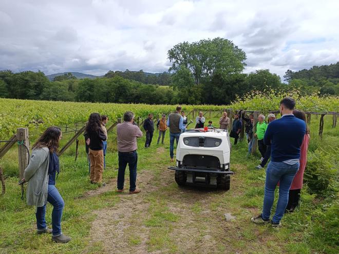 El robot sulfatador autónomo fabricado en China ya se mueve entre las cepas de albariño gallegas