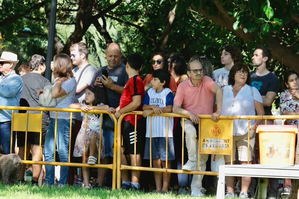 Así ha sido la Feria de los Animales en València