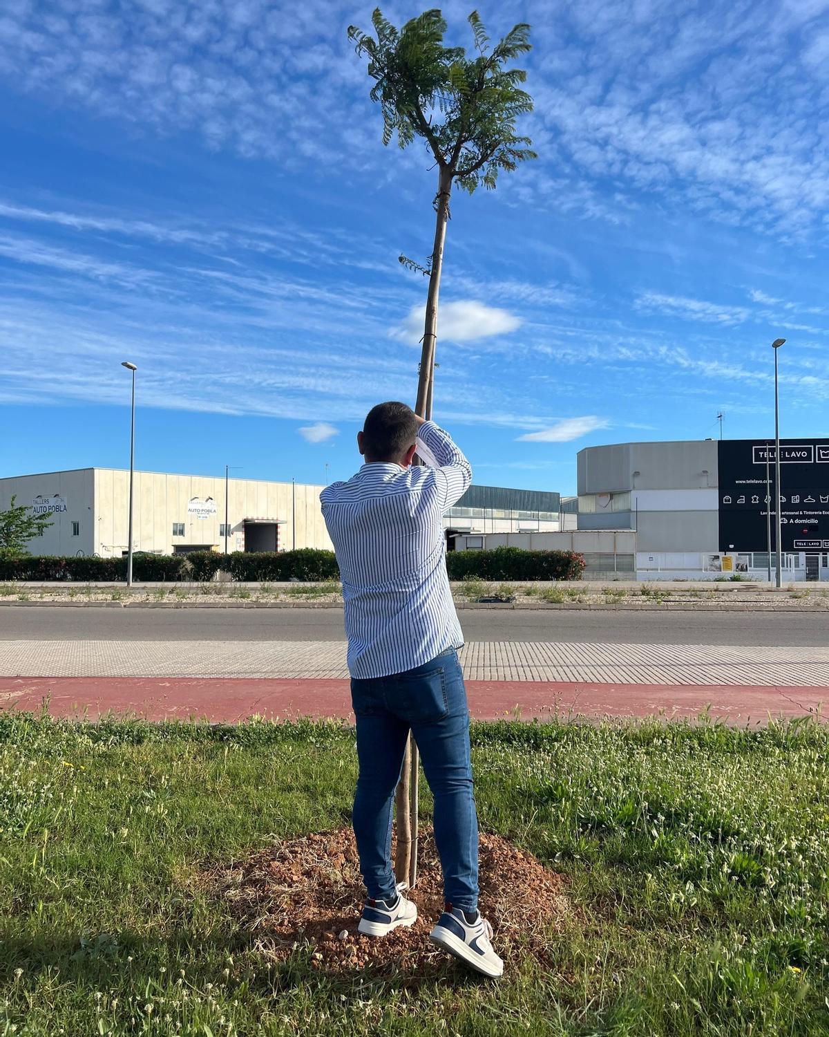 Uno de los árboles plantados.