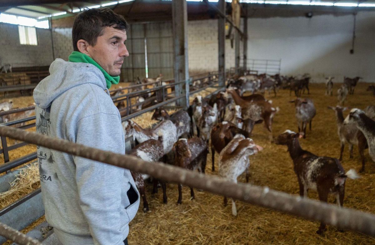 Volver a empezar tras el desastre del incendio