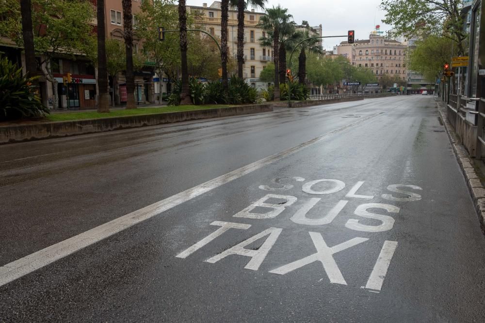 Solo dos de cada diez vehículos circulan por las calles de Palma