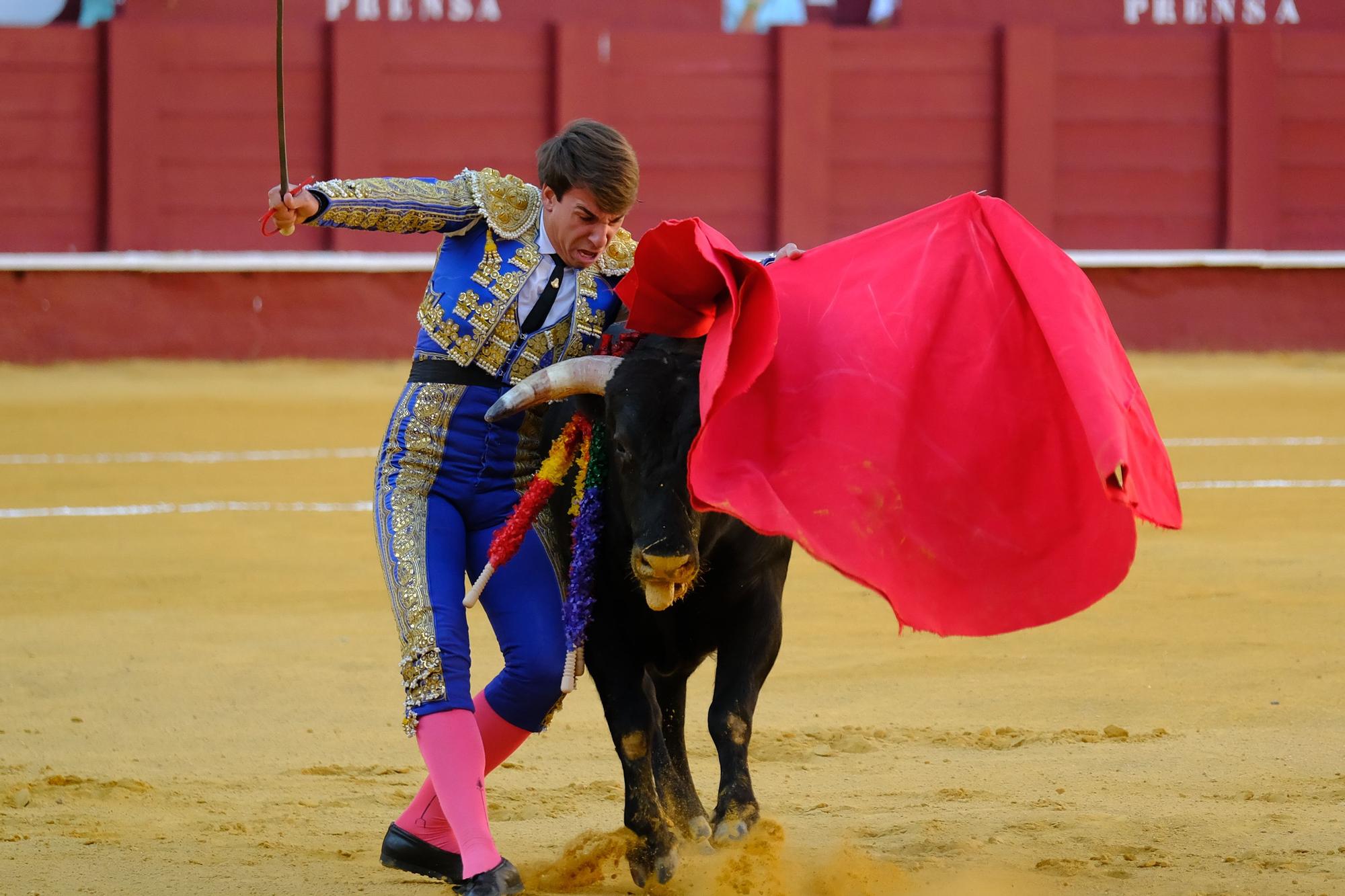 Toros en la Feria I Séptima corrida de abono en la Malagueta