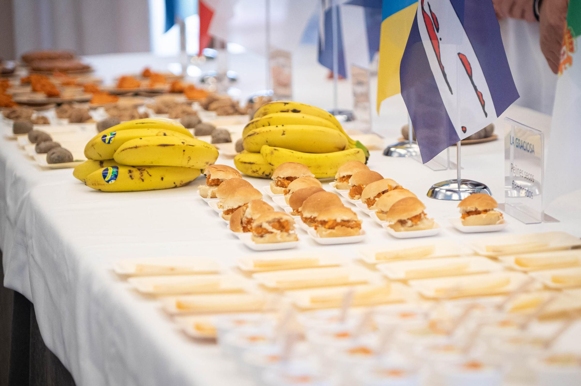 Presentación de GastroCanarias
