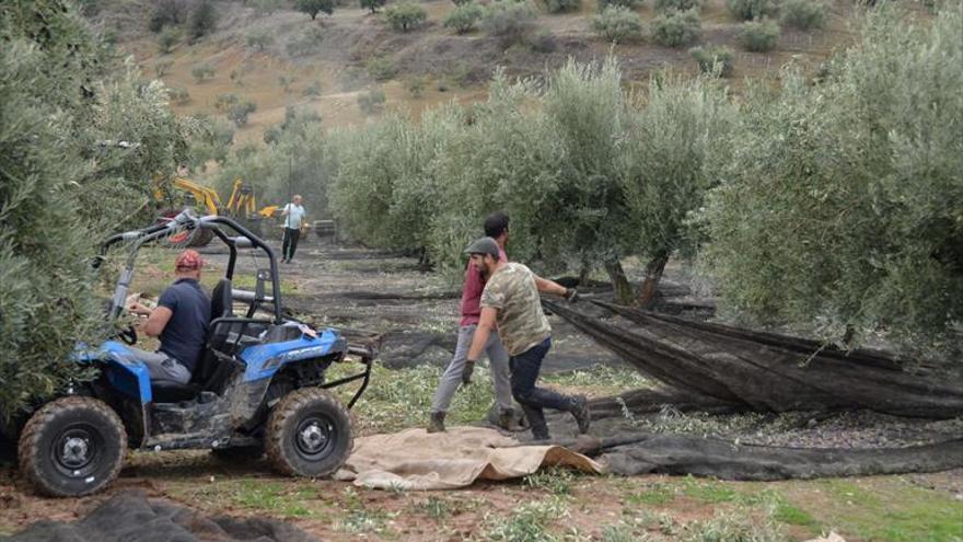 Los productos agrarios se sitúan ya como lo más exportado por Córdoba