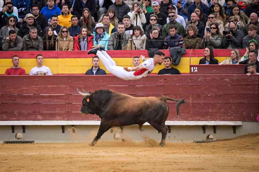 Así ha sido el Concurso Nacional de Recortadores de Castellón