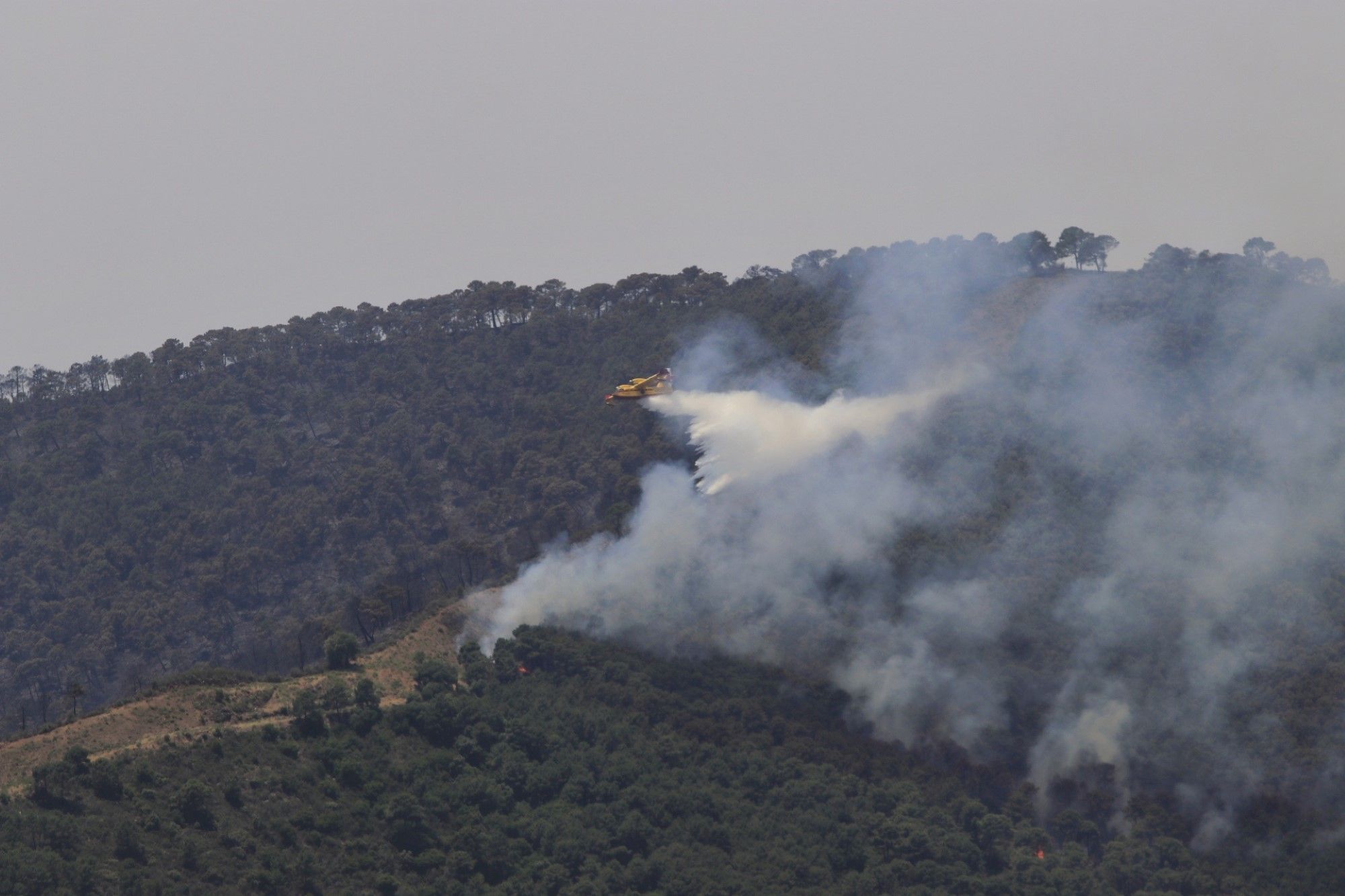 Un millar de efectivos trabajan para controlar el fuego de Sierra Bermeja