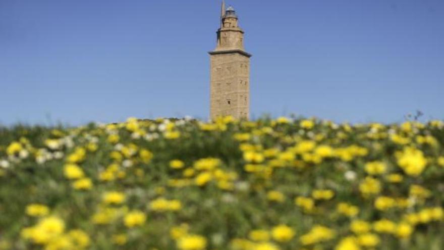 Vista de la Torre de Hércules un día soleado.