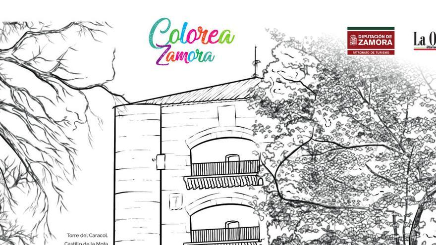 Colorea Zamora: Torre del Caracol de Benavente