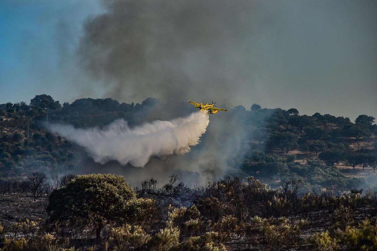 Fotogalería | Imágenes del incendio forestal en Plasencia de este jueves Fotogalería | Imágenes del incendio forestal en Plasencia de este jueves