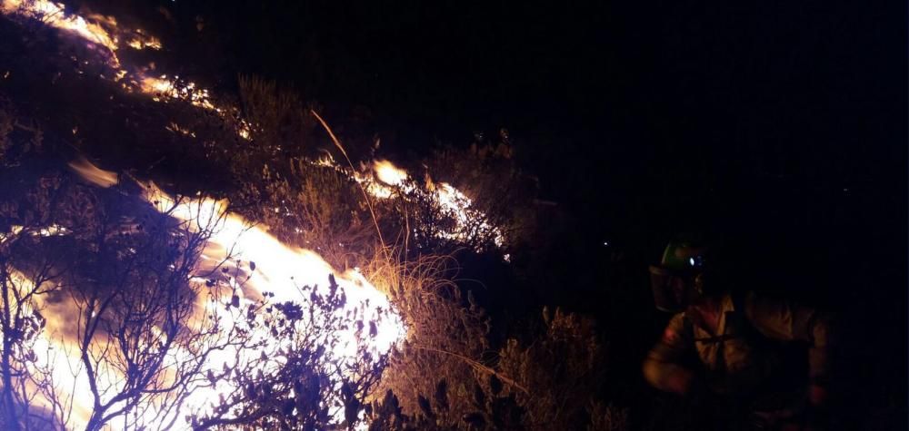 Incendio forestal en la zona de La Concha en Marbella