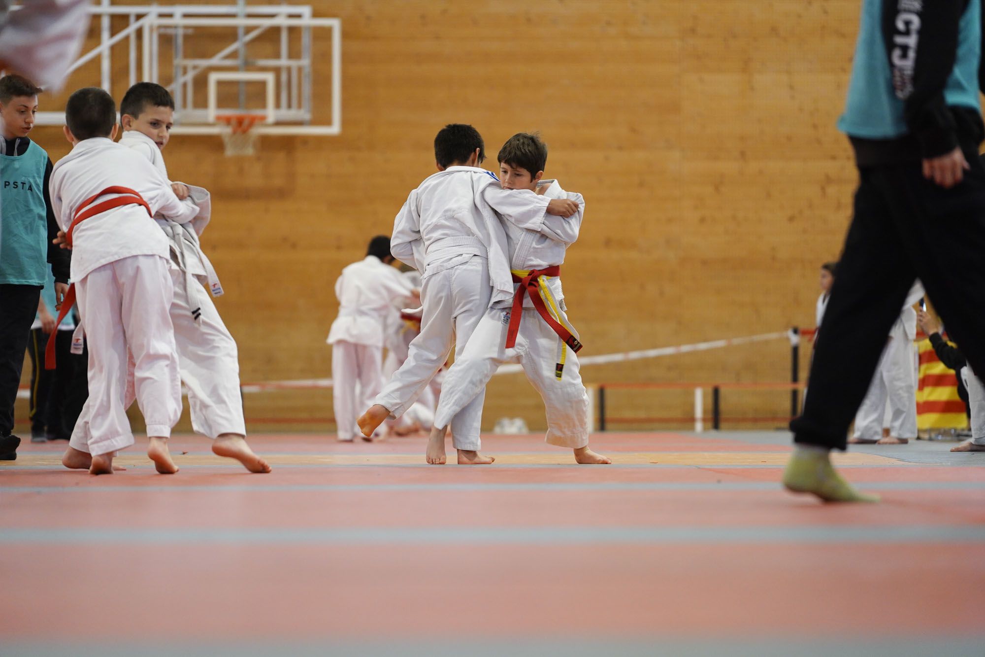 Les imatges del torneig infantil de judo de l'Escola 7