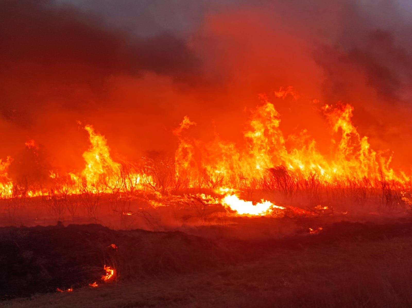 GALERÍA | Los vecinos de Figueruela se enfrentan a las llamas