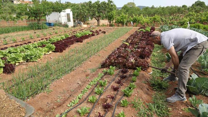 40 empresas participarán en una feria de alimentos ecológicos en Jarandilla