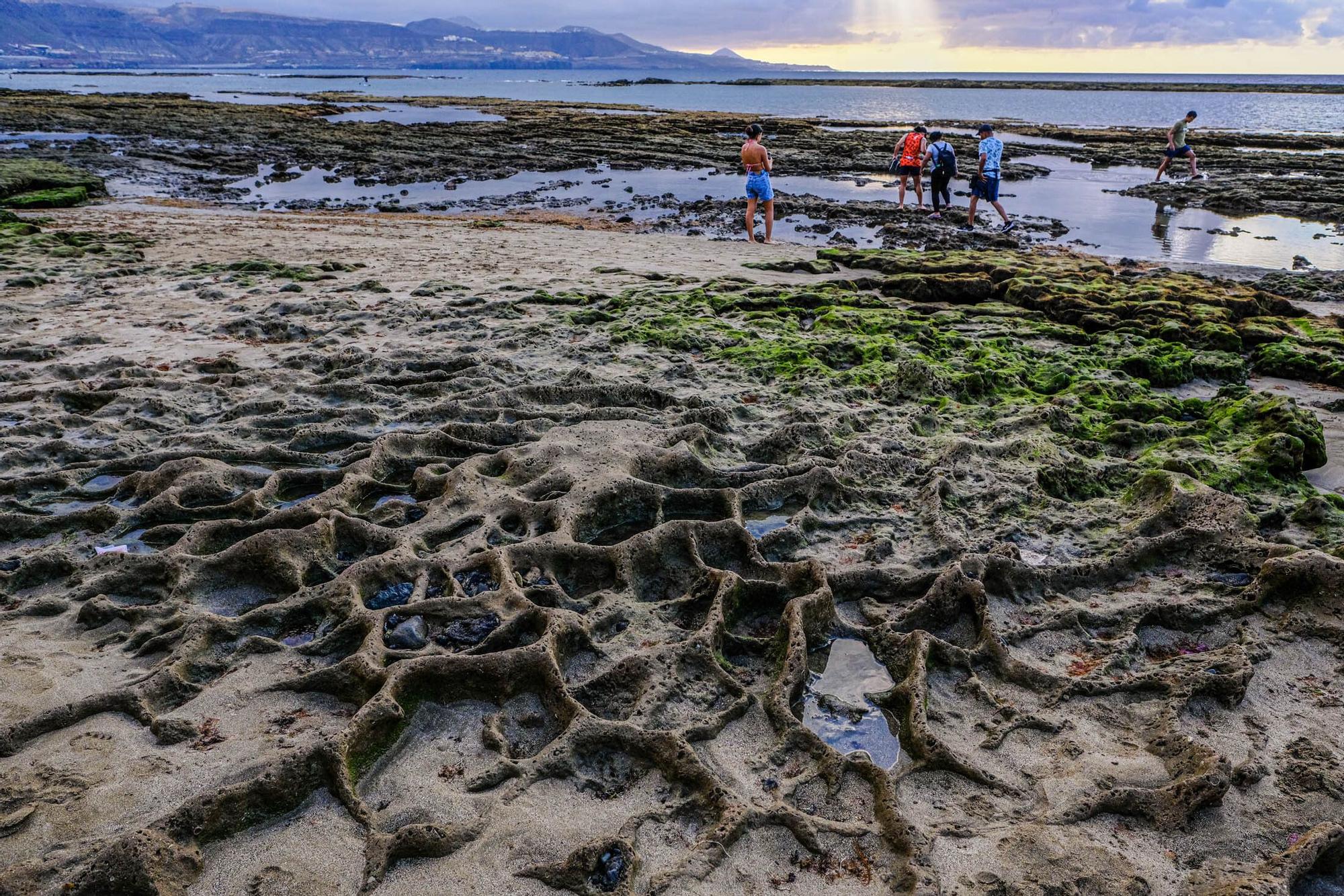 Playas fósiles de Las Canteras