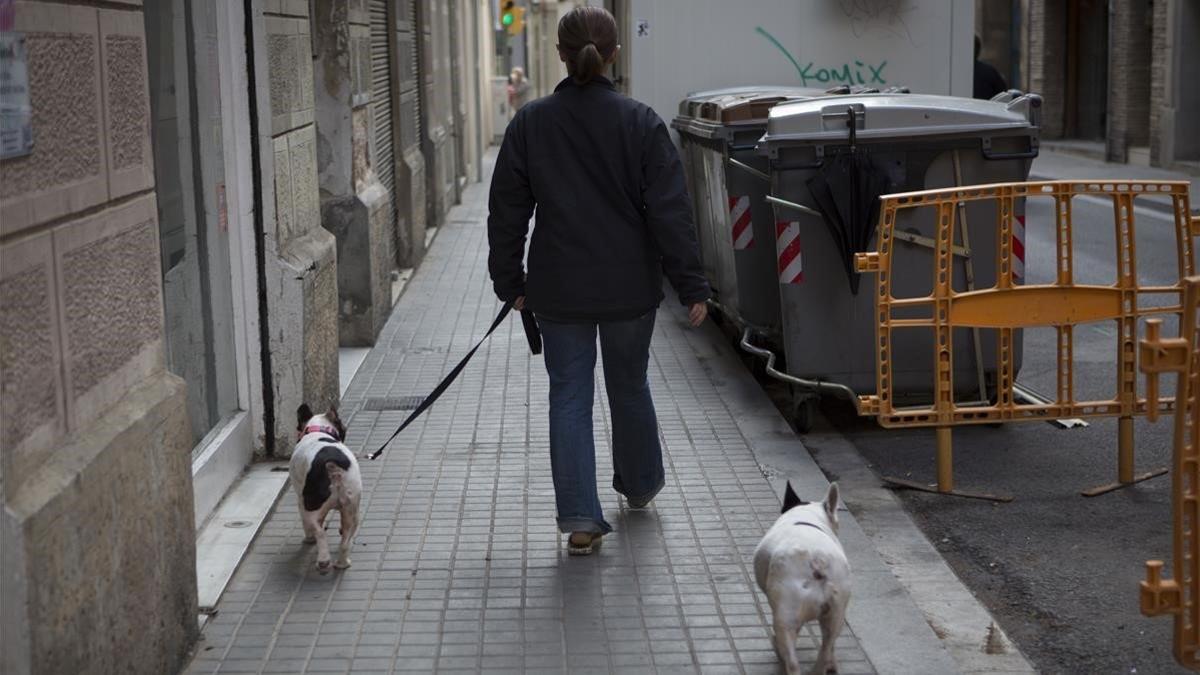 Caso de un perro verde