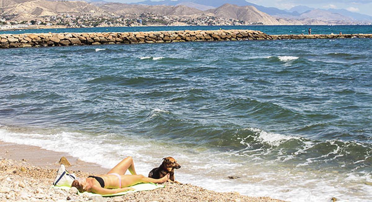 Las 10 mejores playas para ir con perro