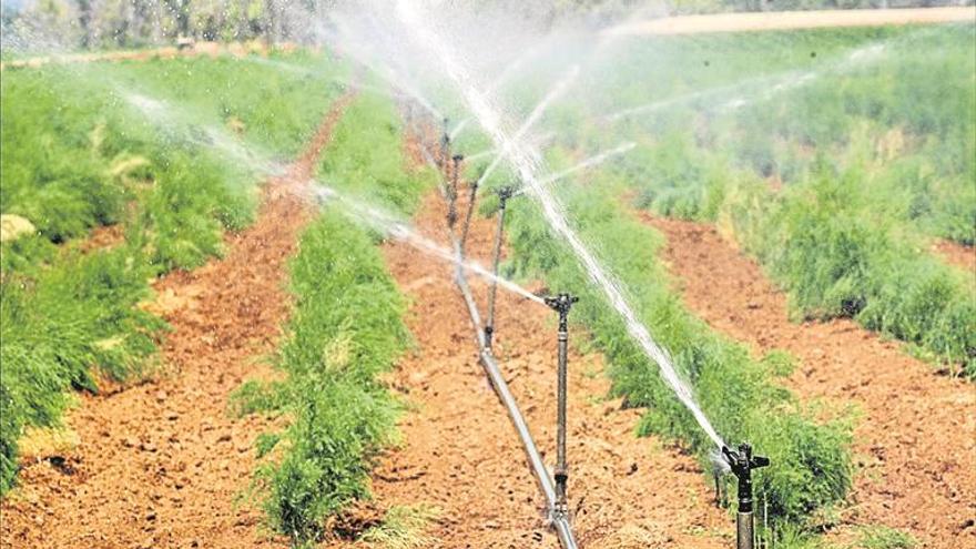 Los embalses cordobeses están al nivel más bajo de la última década