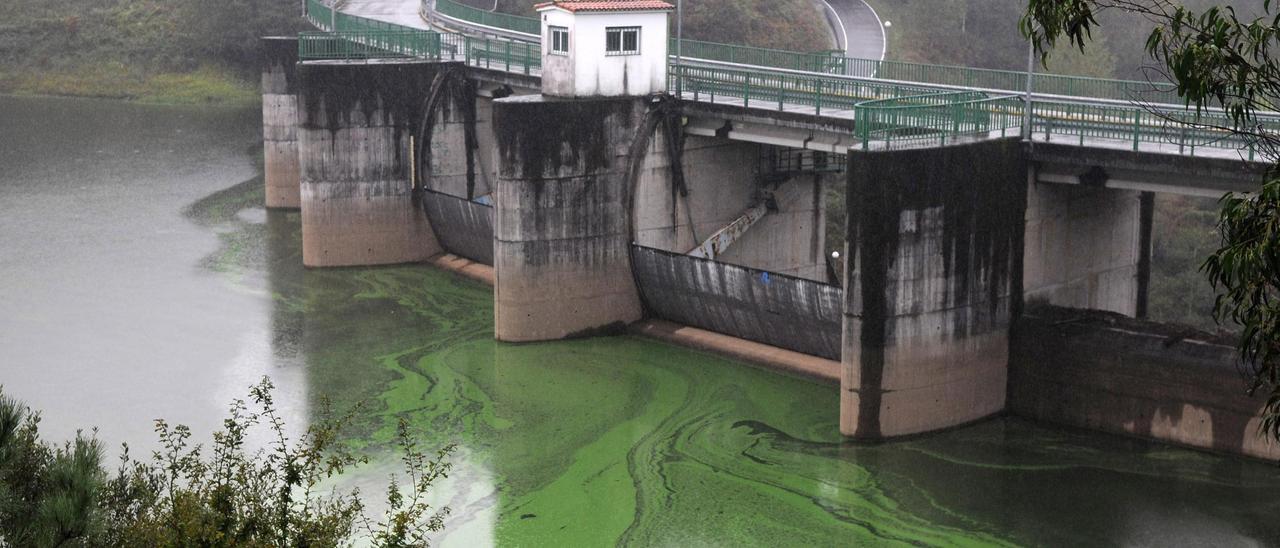 El embalse, teñido de verde