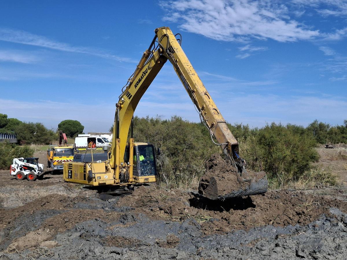 Actuaciones de limpieza y mejora hidráulica ejecutadas bajo la autopista AP-4 sobre el arroyo de Las Pájaras en Sevilla
