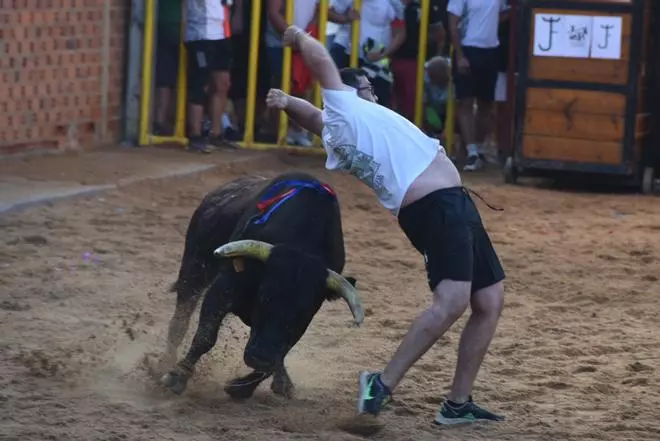 La fiesta taurina de Villanueva de Azoague, en imágenes