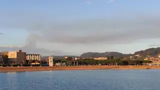 Los ecologistas denuncian otro episodio de alta contaminación en Gijón