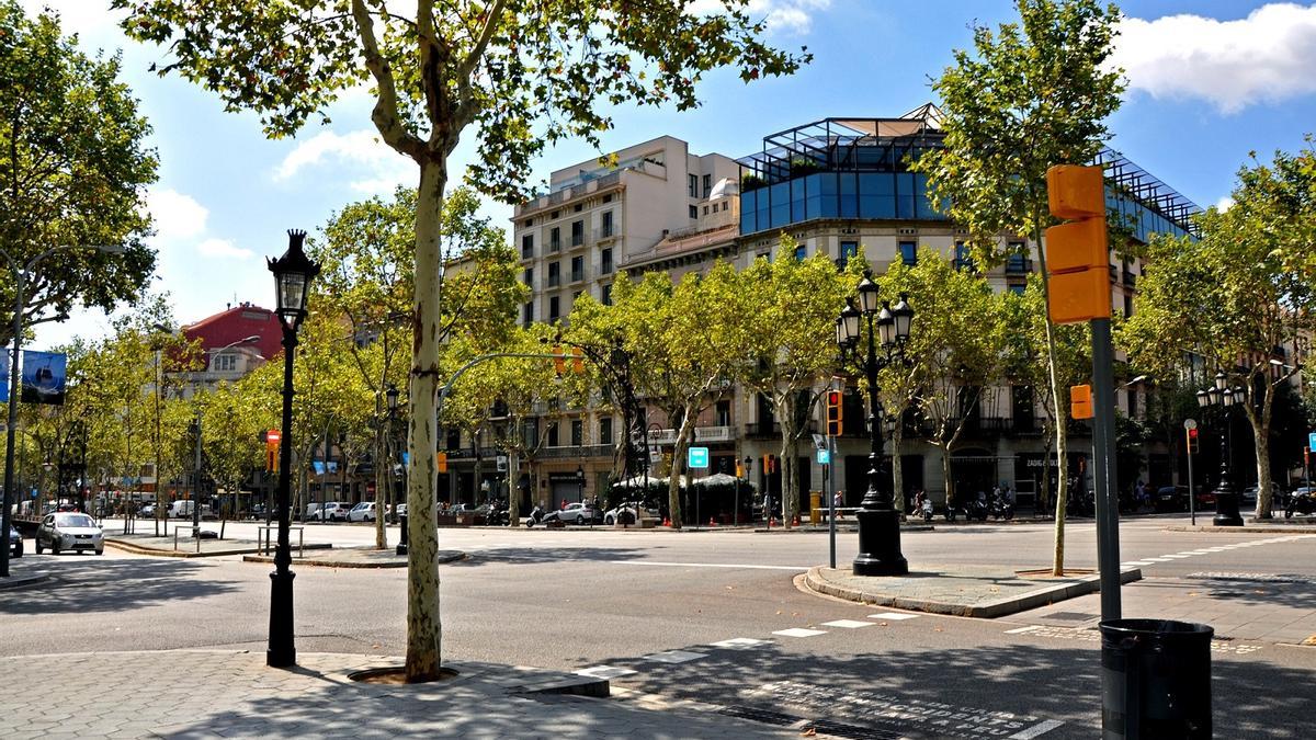 Árboles en una calle de Barcelona