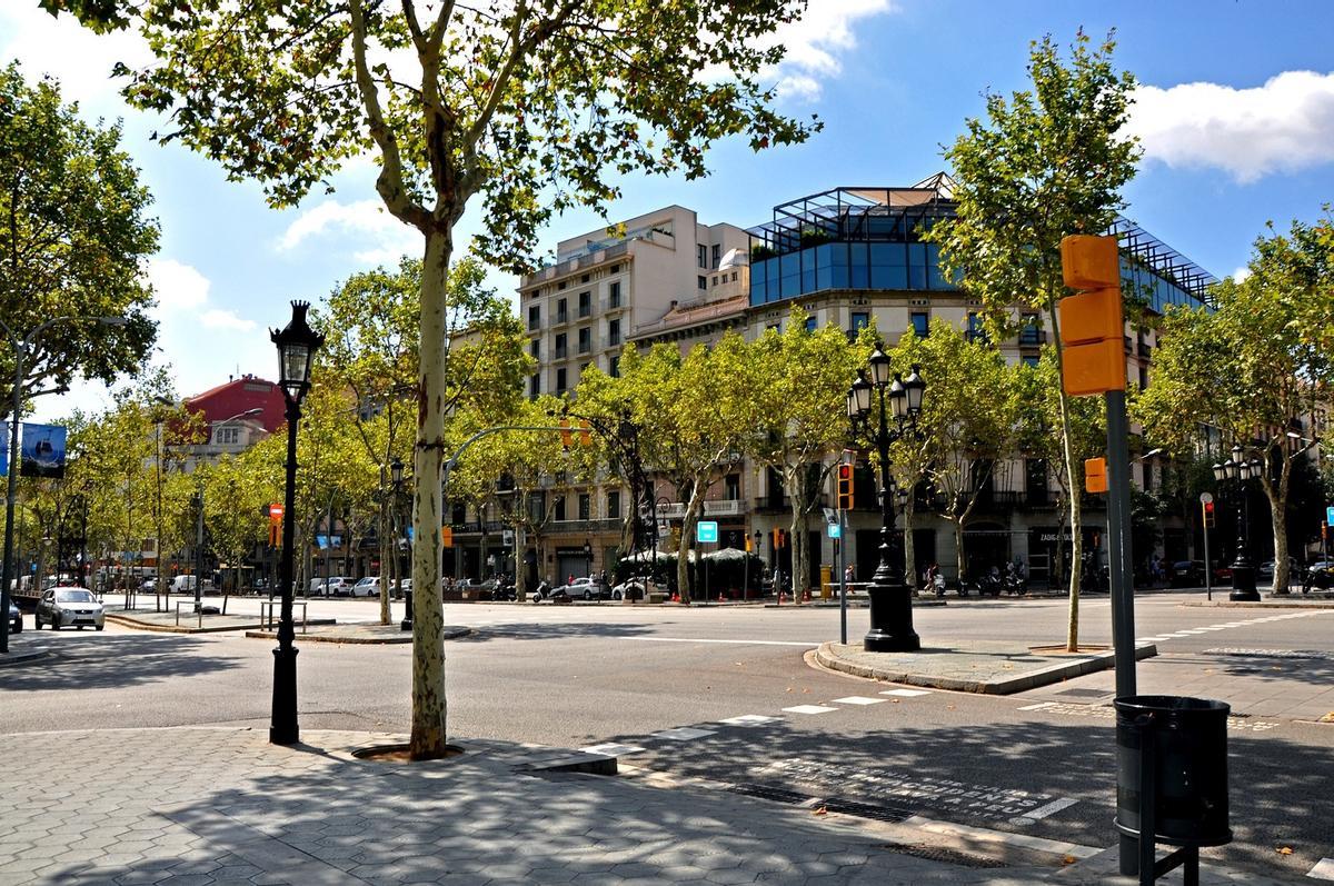 Árboles en una calle de Barcelona