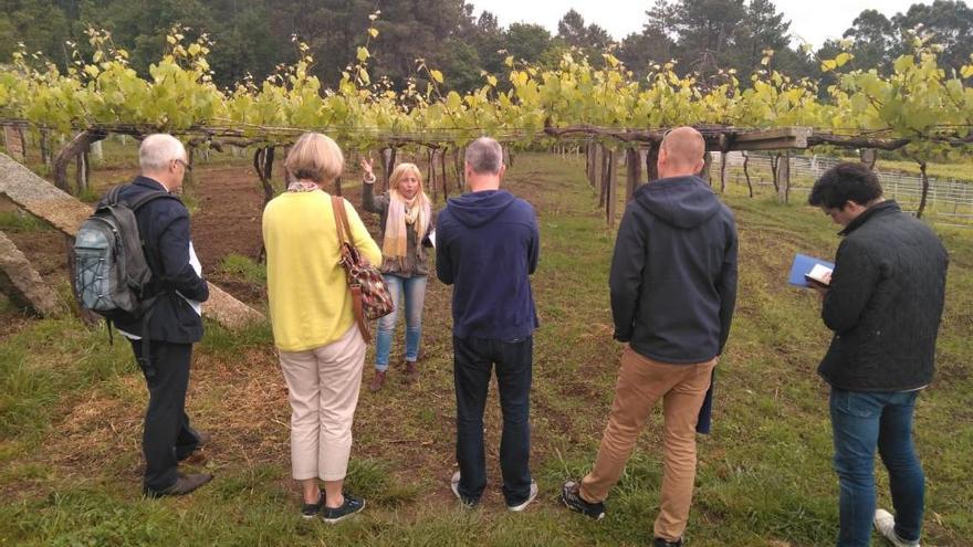 Una de las visitas de los prescriptores británicos a los viñedos de Rías Baixas.