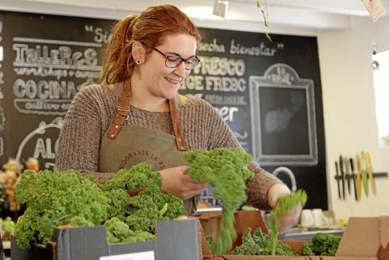 In den Beeten der Biogranja La Real bei Palma wachsen gleich vier supergesunde Sorten des Modegemüses "Kale".